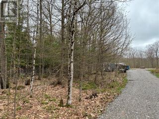 Photo 22: 1382 COUNTY ROAD 36 ROAD in Bobcaygeon: Vacant Land for sale : MLS®# 1339750