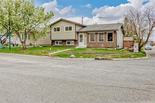 Photo 38: 207 Whitaker Close NE in Calgary: Whitehorn Detached for sale : MLS®# A2047027