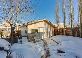Photo 31: 14 Royal Birch Grove NW in Calgary: Royal Oak Detached for sale : MLS®# A1073749
