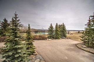 Photo 35: 271130 Rge Rd 13 NW: Airdrie Detached for sale : MLS®# A2043300