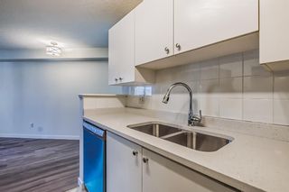 Photo 7: 208 1000 Citadel Meadow Point NW in Calgary: Citadel Apartment for sale : MLS®# A2050408