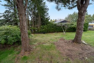 Photo 16: 1923 Bolt Ave in Comox: CV Comox (Town of) House for sale (Comox Valley)  : MLS®# 897720