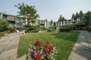 Photo 17: 311 9202 HORNE STREET in Burnaby: Government Road Condo for sale (Burnaby North)  : MLS®# R2297402