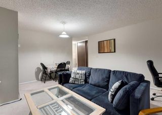 Photo 13: 1214 4944 Dalton Drive NW in Calgary: Dalhousie Apartment for sale : MLS®# A2122611