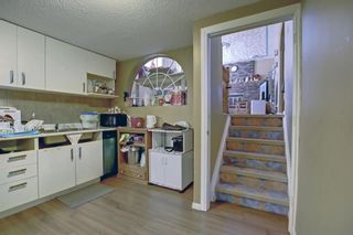 Photo 28: 6303 Rundlehorn Drive NE in Calgary: Pineridge Detached for sale : MLS®# A1181029