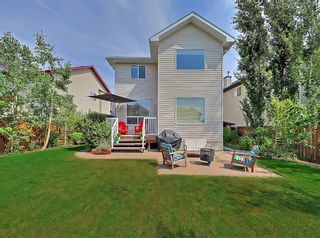 Photo 41: 250 Royal Birch Way NW in Calgary: Royal Oak Detached for sale : MLS®# A1254634