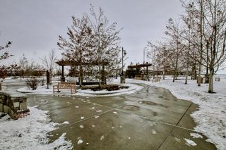Photo 38: 413 400 Auburn Meadows Common SE in Calgary: Auburn Bay Apartment for sale : MLS®# A2021225