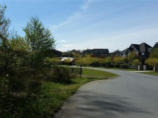 Photo 8: 19907 3B Avenue in Langley: Campbell Valley Land for sale in "High Points" : MLS®# R2398405