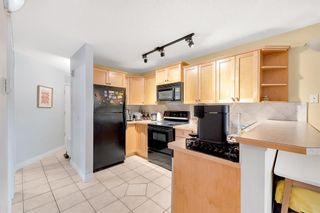 Photo 4: 305 60 38A Avenue SW in Calgary: Parkhill Apartment for sale : MLS®# A2050079