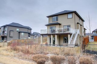 Photo 46: 105 Seagreen Passage: Chestermere Detached for sale : MLS®# A1199937