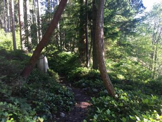 Photo 8: 5799 MARINE Drive in Vancouver: Eagleridge Land for sale (West Vancouver)  : MLS®# R2704887