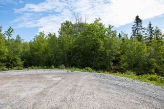 Photo 7: Lots St. Phillips Street in Bridgewater: 405-Lunenburg County Commercial  (South Shore)  : MLS®# 202115971