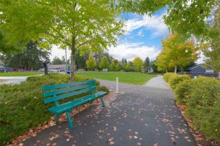 Photo 20: 308 12096 222 Street in Maple Ridge: West Central Condo for sale in "CANUCK PLAZA" : MLS®# R2541037