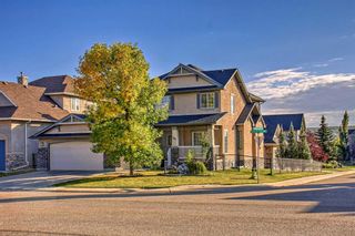 Photo 45: 163 Discovery Ridge Way SW in Calgary: Discovery Ridge Detached for sale : MLS®# A2079702