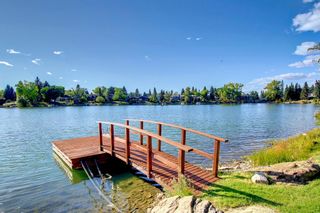 Photo 44: 12215 Lake Louise Way SE in Calgary: Lake Bonavista Detached for sale : MLS®# A1144833