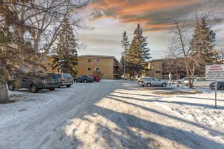 Photo 29: 302 3103 Blakiston Drive NW in Calgary: Brentwood Apartment for sale : MLS®# A2019913