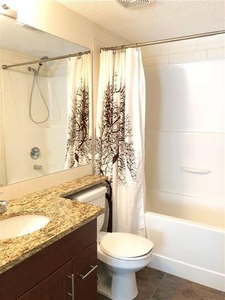 Photo 11: 2105 279 COPPERPOND Common SE in Calgary: Copperfield Apartment for sale : MLS®# C4296739