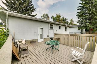 Photo 34: 144 Hendon Drive in Calgary: Highwood Detached for sale : MLS®# A1134484