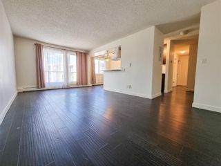 Photo 6: 305 4455C Greenview Drive NE in Calgary: Greenview Apartment for sale : MLS®# A1133635