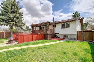 Photo 49: 900 Abbotsford Drive NE in Calgary: Abbeydale Detached for sale : MLS®# A1221125