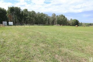 Photo 5: RR 13 TWP 473A: Rural Leduc County Vacant Lot/Land for sale : MLS®# E4376029