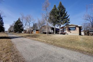 Photo 23: 3431 30A Avenue SE in Calgary: Dover Detached for sale : MLS®# A1200936