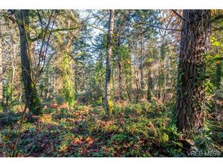 Photo 5: 6586 West Saanich Rd in SAANICHTON: CS Brentwood Bay House for sale (Central Saanich)  : MLS®# 716428