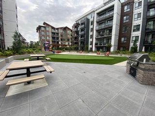 Photo 18: B507 20838 78B Avenue in Langley: Willoughby Heights Condo for sale : MLS®# R2702865