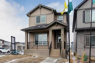 Photo 31: 8 Cornerbrook Avenue NE in Calgary: Cornerstone Detached for sale : MLS®# A1240909