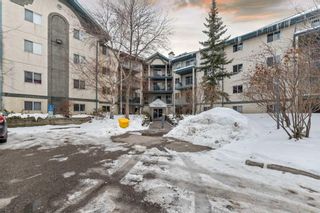 Photo 3: 209 11 Dover Point SE in Calgary: Dover Apartment for sale : MLS®# A2130019