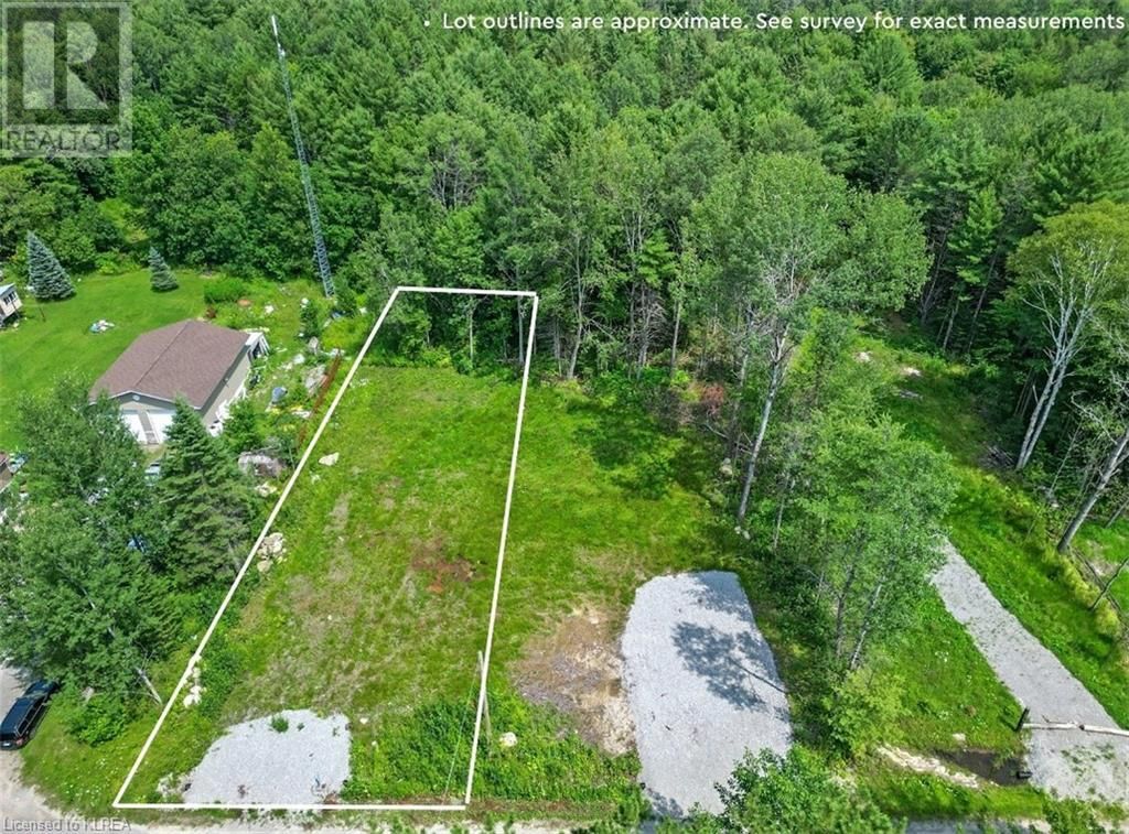 Main Photo: LOT 9 CREGO Street in Kinmount: Vacant Land for sale : MLS®# 40459381