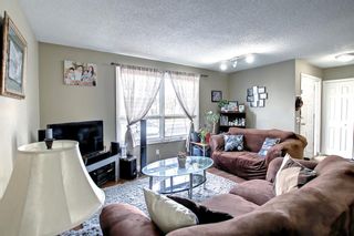 Photo 10: 3727 44 Avenue NE in Calgary: Whitehorn Detached for sale : MLS®# A1172903