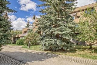Photo 41: 2 105 Village Heights SW in Calgary: Patterson Apartment for sale : MLS®# A2051071