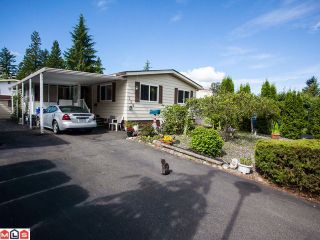 Photo 9: 138 3665 244TH Street in Langley: Otter District Manufactured Home for sale in "LANGLEY GROVE ESTATES" : MLS®# F1217824