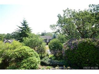 Photo 19: 2 1001 Terrace Ave in VICTORIA: Vi Rockland Condo for sale (Victoria)  : MLS®# 732782