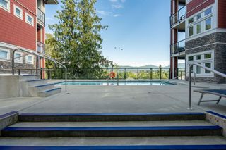 Photo 29: 115 2242 WHATCOM Road in Abbotsford: Abbotsford East Condo for sale in "Waterleaf" : MLS®# R2722263