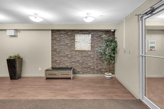 Photo 3: 214 7130 80 Avenue NE in Calgary: Saddle Ridge Apartment for sale : MLS®# A2094119