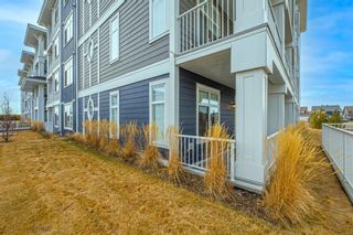 Photo 32: 114 300 Auburn Meadows Common SE in Calgary: Auburn Bay Apartment for sale : MLS®# A1195615