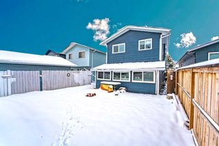 Photo 35: 6079 Martingrove Road NE in Calgary: Martindale Detached for sale : MLS®# A2121802