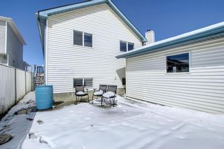 Photo 20: 240 erin meadow Green in Calgary: Erin Woods Detached for sale : MLS®# A2003999