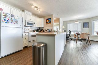 Photo 9: 203 735 56th Avenue SW in Calgary: Windsor Park Apartment for sale : MLS®# A2109350