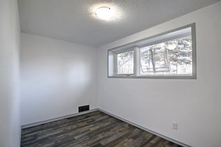 Photo 31: 108 Whiteview Place NE in Calgary: Whitehorn Detached for sale : MLS®# A1161533