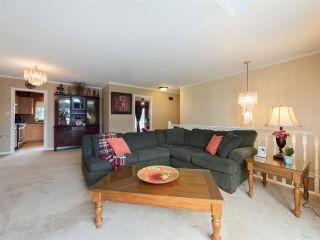 Photo 4: 3115 MOUAT Drive in Abbotsford: Abbotsford West House for sale : MLS®# R2304746