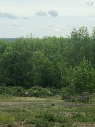 Photo 9: Lot Morganville Road in Bear River: Annapolis County Vacant Land for sale (Annapolis Valley)  : MLS®# 202213446