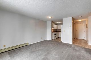 Photo 7: 110 280 Banister Drive: Okotoks Apartment for sale : MLS®# A2128088