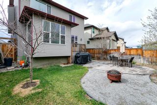Photo 40: 31 BRIGHTONCREST Common SE in Calgary: New Brighton Detached for sale : MLS®# A1102901
