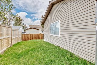Photo 33: 207 Whitaker Close NE in Calgary: Whitehorn Detached for sale : MLS®# A2047027