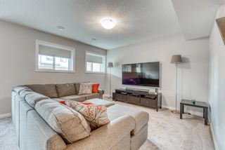 Photo 33: 138 Masters Common SE in Calgary: Mahogany Detached for sale : MLS®# A1104468