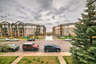 Photo 20: 214 2000 Applevillage Court SE in Calgary: Applewood Park Apartment for sale : MLS®# A2130391