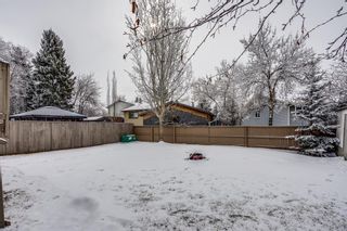Photo 31: 14692 Deer Ridge Drive SE in Calgary: Deer Ridge Detached for sale : MLS®# A1189371